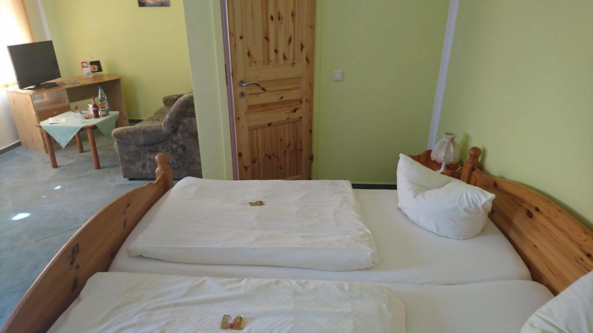 לובנאו Hotel-Pension Am Muehlberg מראה חיצוני תמונה